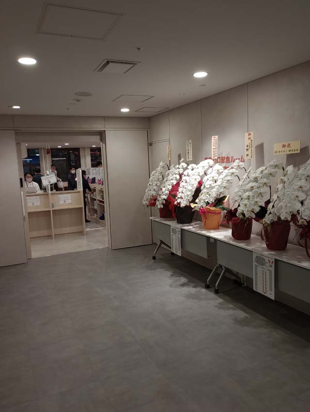 開所祝いの胡蝶蘭がずらっと並んでます