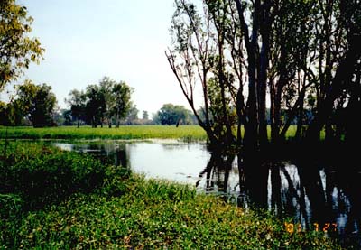 KAKADU国立公園