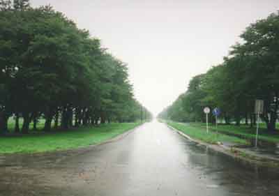 雨の二十間道路。まっすぐな道でした