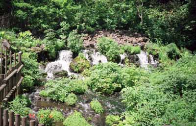 まさに噴き出す、羊蹄山の噴き出し水