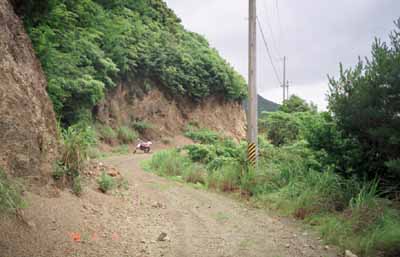 大鎌・椎平林道