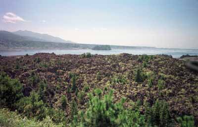 桜島その2